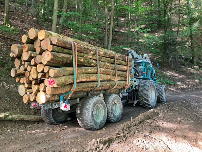 Holztransport