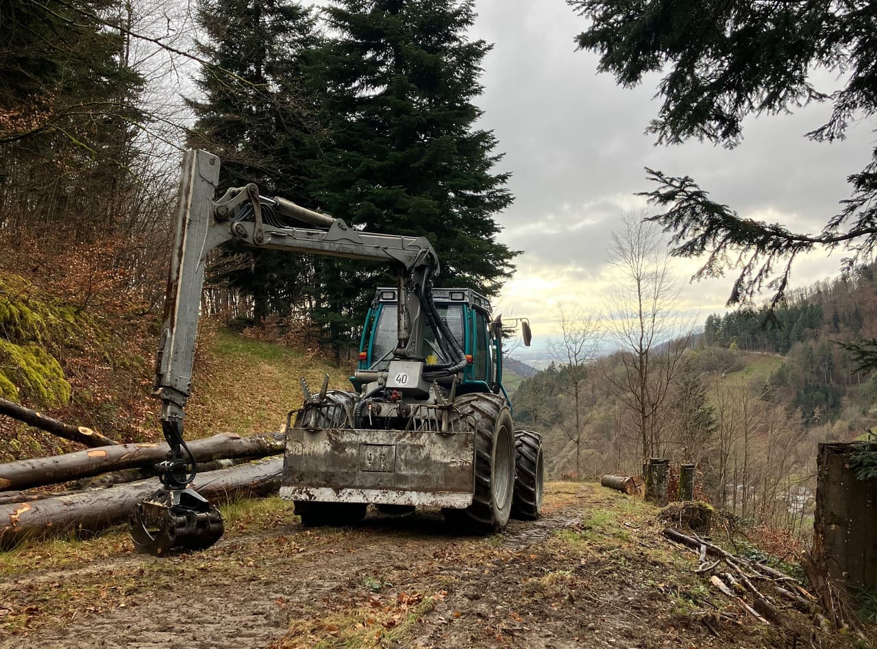 RS Forst- & Agrarservice – Forstarbeiten im Schwarzwald